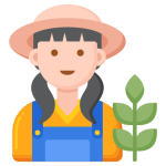 30+ years of rice farming experience, ensuring top-quality grains. Our expertise guarantee the best rice for your table.